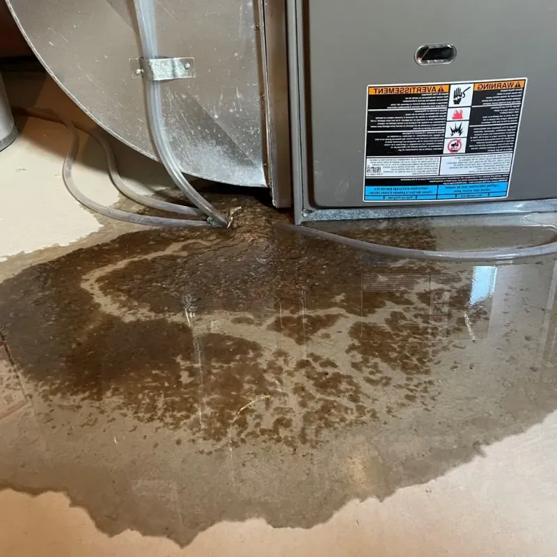 Pipe Burst and Leak Restoration in Helena West Side, MT