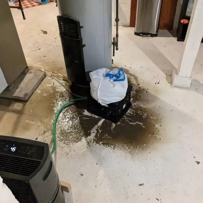 Sewage Backup Cleanup Service in Helena West Side, MT